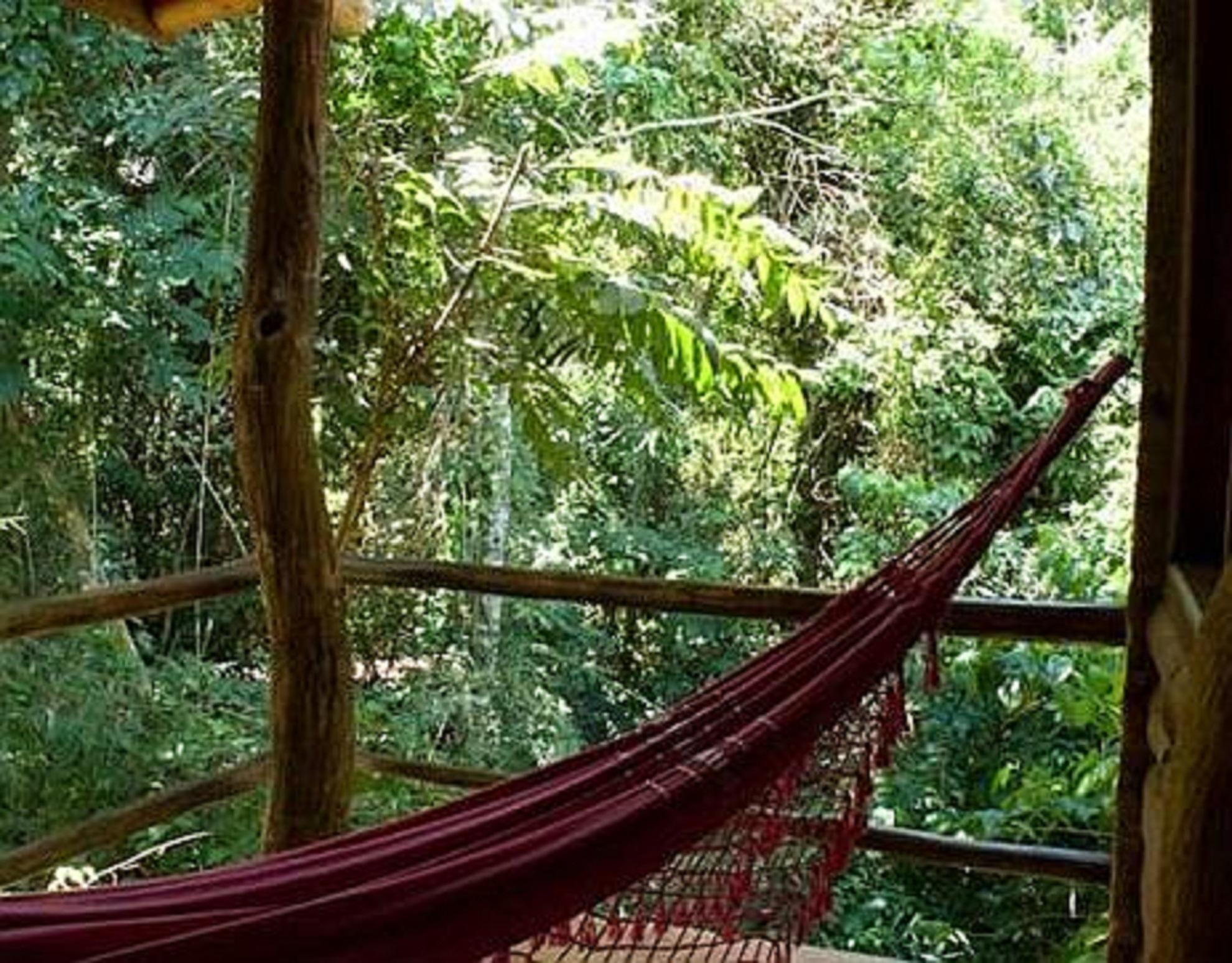 La Aldea De La Selva Lodge Puerto Iguazú Zewnętrze zdjęcie